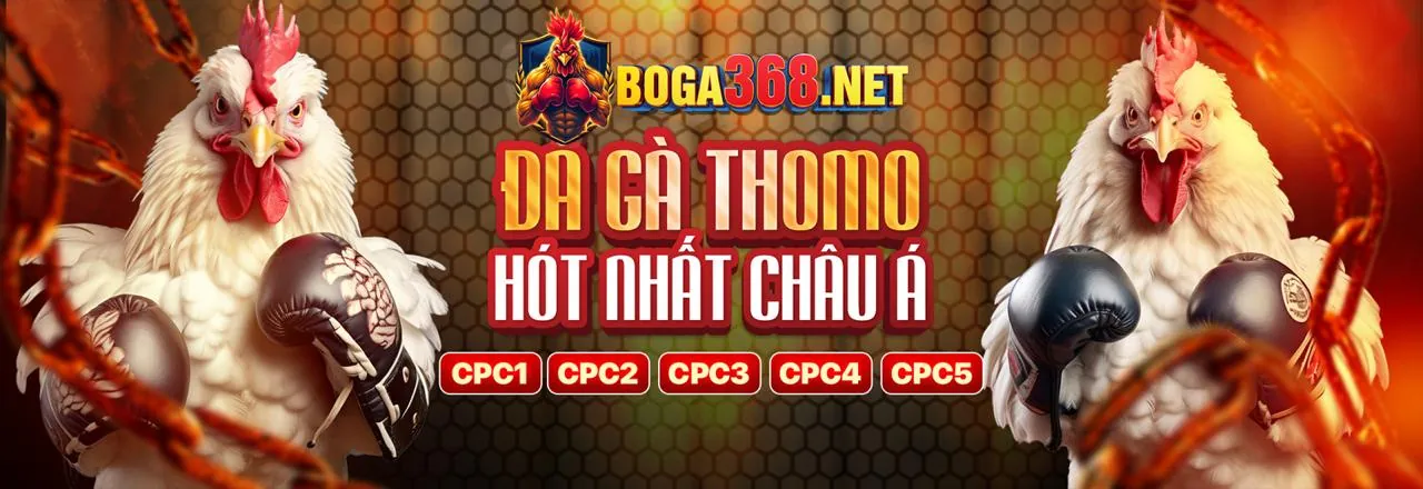 Tận dụng tối đa các chương trình khuyến mãi F8BET8